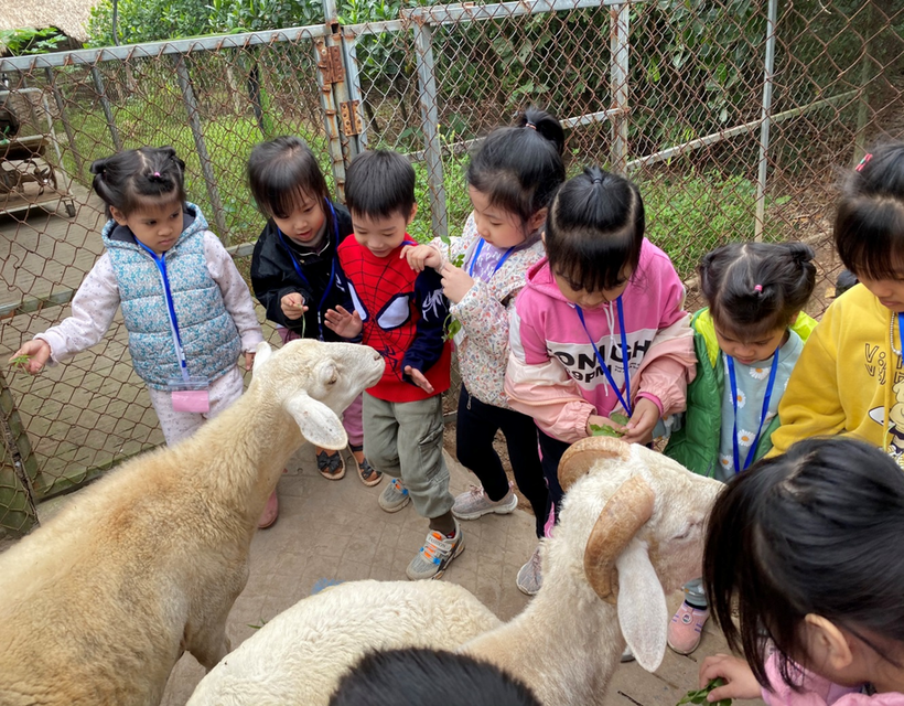 C:\Users\Administrator\Desktop\anh tham quan\z3943238752777_7e54dfba4a0337979ef4e3d1d9ee956c.jpg