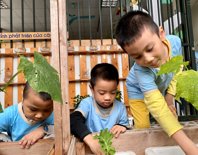 C:\Users\Administrator\Desktop\Vuiet bai\z4239157223733_14dee8fda7ada25c76ffdc5039ea5fae.jpg