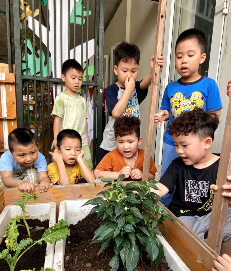 C:\Users\Administrator\Desktop\Vuiet bai\z4239134850056_0500e65da9b105ea8d32a638c6bc44ea.jpg