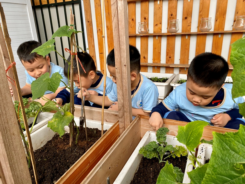 C:\Users\Administrator\Desktop\Vuiet bai\z4239142030155_84ca53b107106c7bc0c5b71a0df203fe.jpg