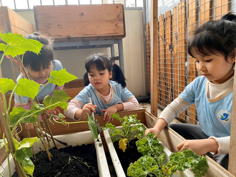 C:\Users\Administrator\Desktop\Vuiet bai\z4239158159460_254423666b2cf7bf44e1ad68693285eb.jpg