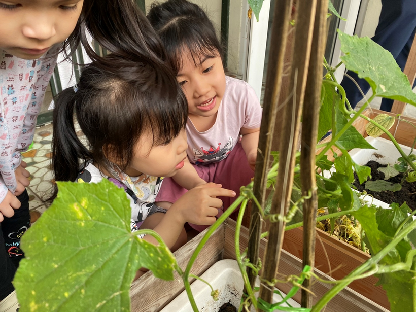 C:\Users\Administrator\Desktop\Vuiet bai\z4239142031925_775648c861463e2319d5c49ee9f491d7 (1).jpg