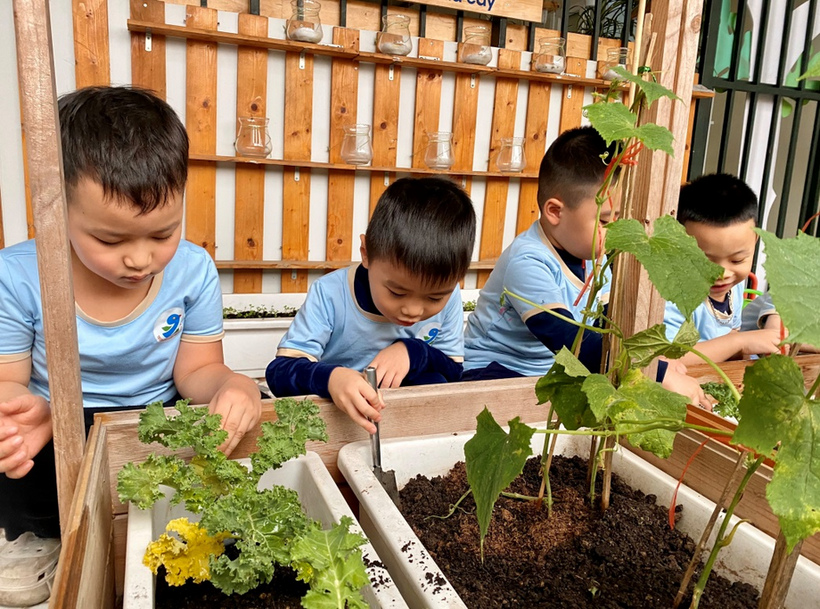 C:\Users\Administrator\Desktop\Vuiet bai\z4239144078057_1565646fbb7af9fb6b75d4ea8a9e6b2f.jpg