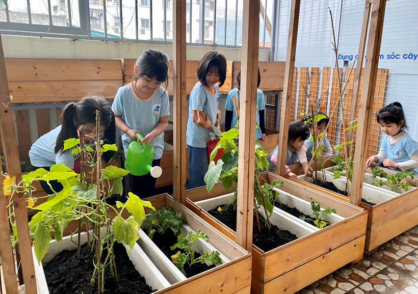 C:\Users\Administrator\Desktop\Vuiet bai\z4239157264051_ddf9b460d283dbf7b38e26cd88fe3bff.jpg