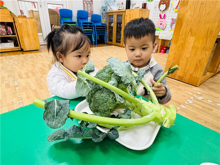 Ảnh có chứa rau củ, Mặt người, trẻ tập đi, trang phục

Mô tả được tạo tự động