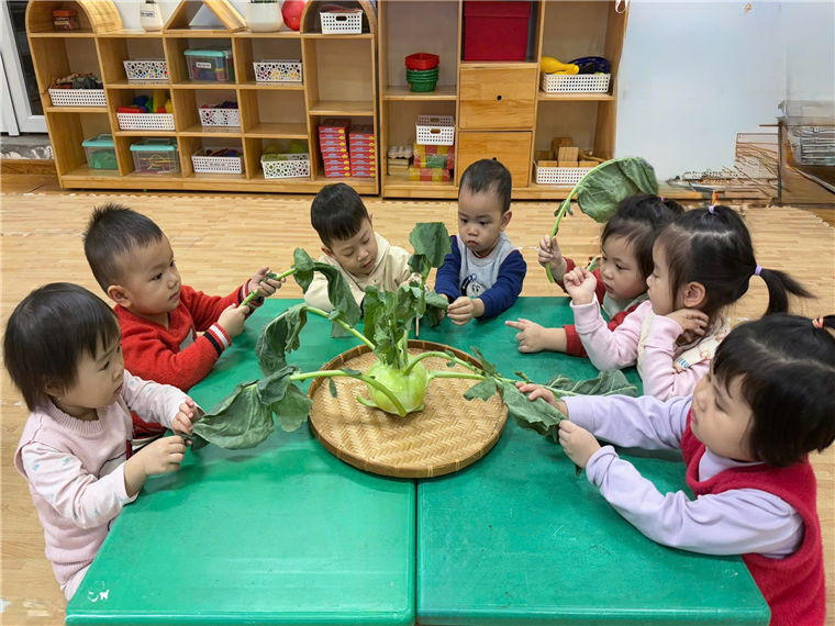 Ảnh có chứa trang phục, trẻ tập đi, cậu bé, Mặt người

Mô tả được tạo tự động