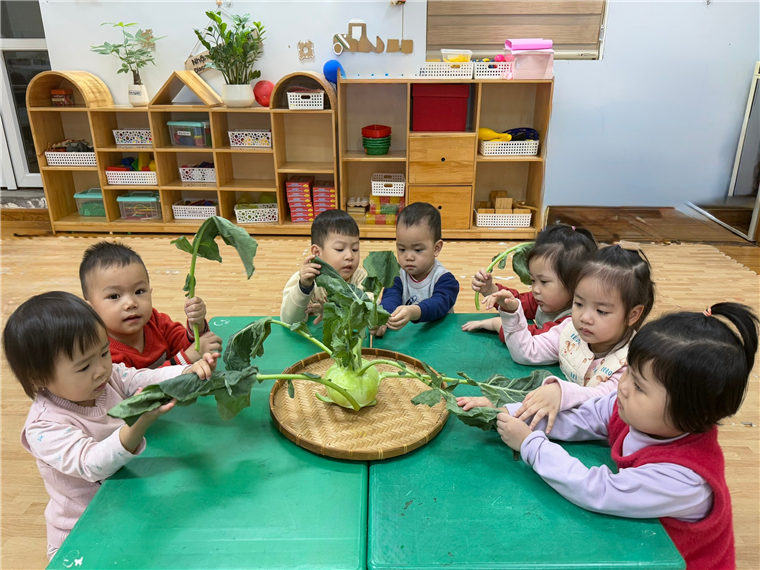 Ảnh có chứa trẻ tập đi, trong nhà, Mặt người, trang phục

Mô tả được tạo tự động