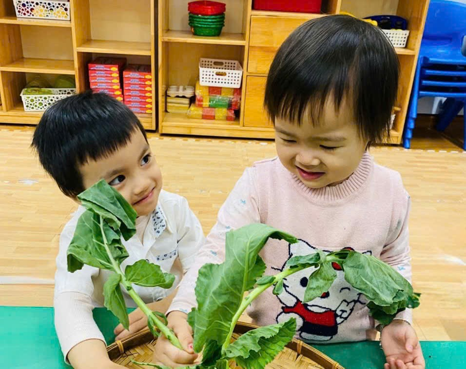 Ảnh có chứa người, trẻ tập đi, Mặt người, trang phục

Mô tả được tạo tự động