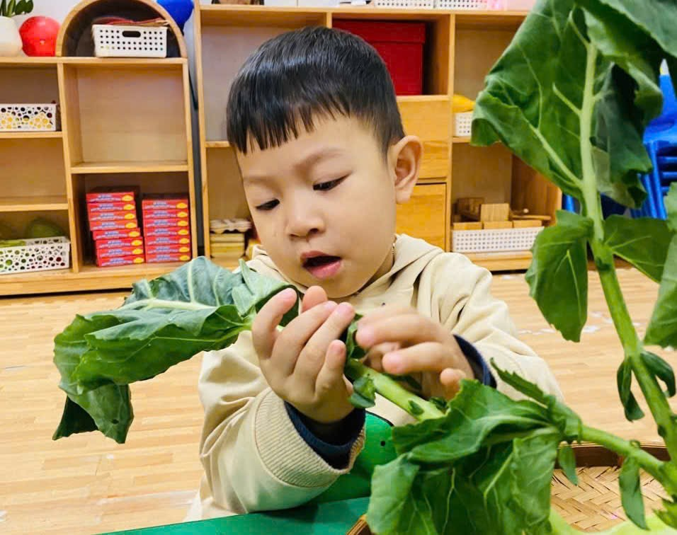 Ảnh có chứa người, trẻ tập đi, Mặt người, rau củ

Mô tả được tạo tự động