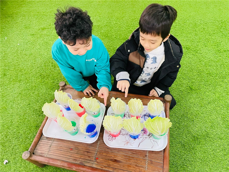 Ảnh có chứa cỏ, trang phục, người, trẻ tập đi

Mô tả được tạo tự động