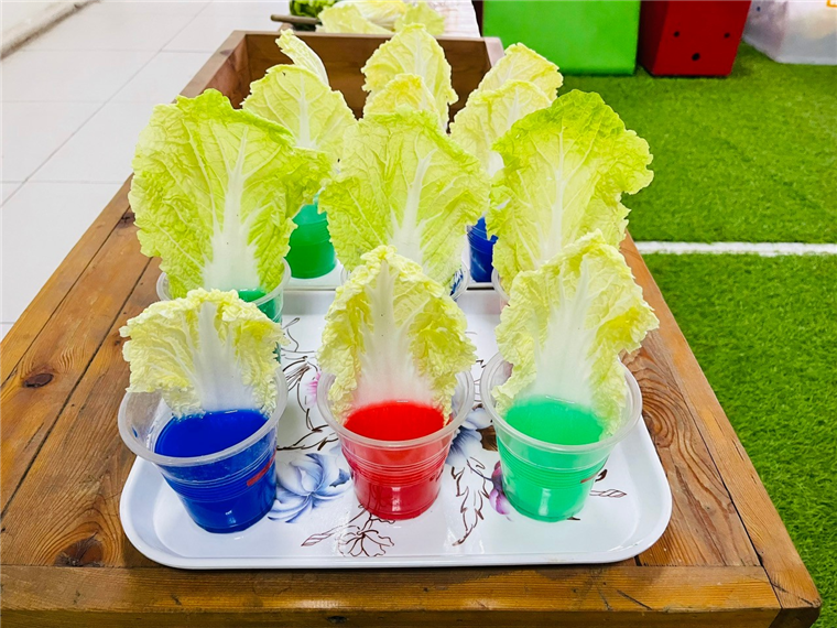 Ảnh có chứa rau củ, cỏ, bàn, rau diếp

Mô tả được tạo tự động