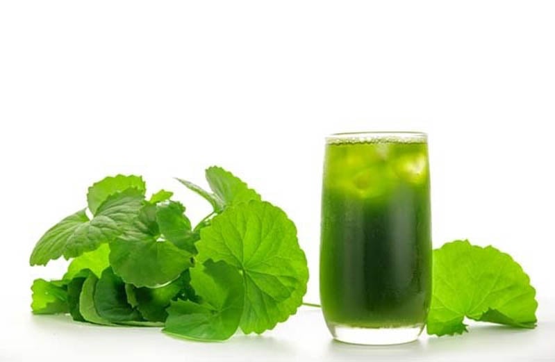 Nước rau má để tủ lạnh được bao lâu?