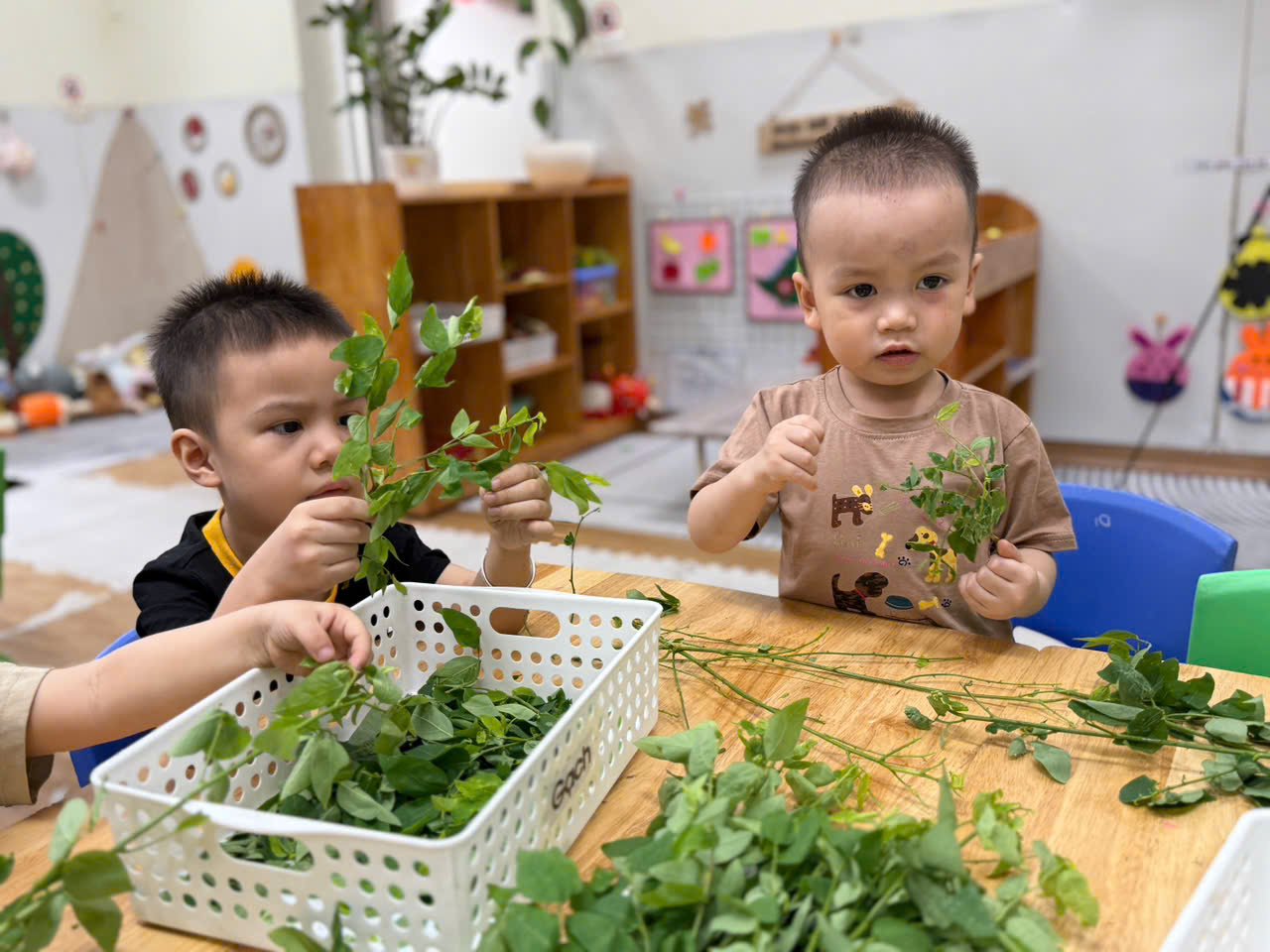 A group of kids holding leaves
AI-generated content may be incorrect.