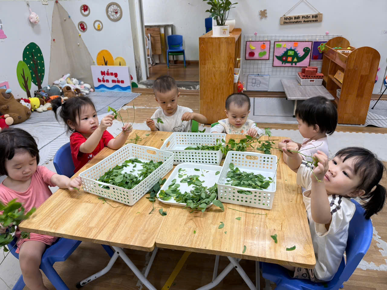 A group of children sitting at a table with baskets of plants
AI-generated content may be incorrect.