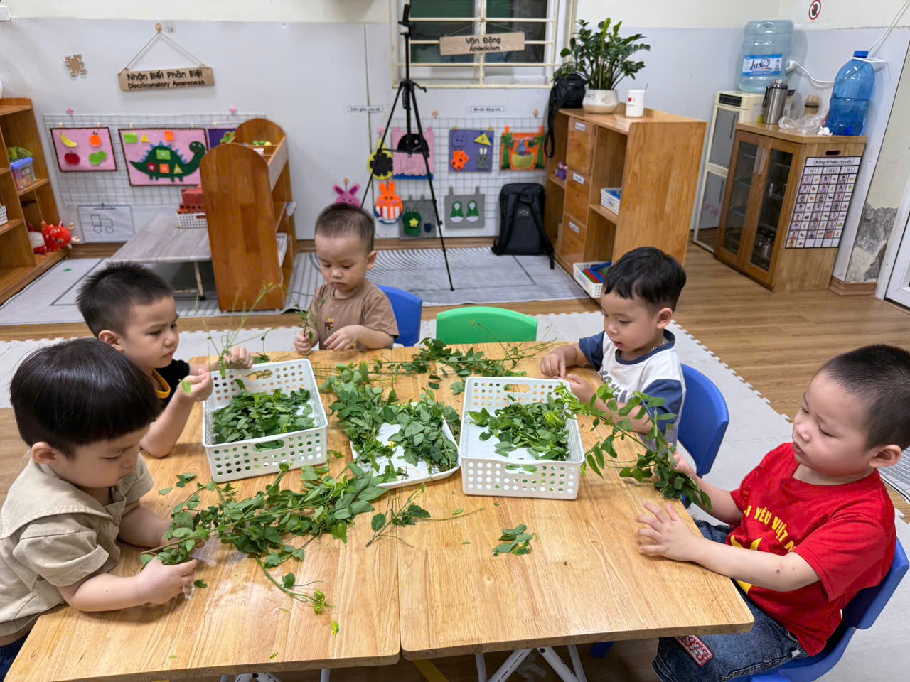 A group of children sitting at a table with baskets of leaves
AI-generated content may be incorrect.